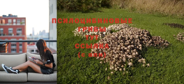 молекула духа Гусь-Хрустальный