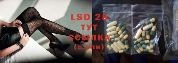 ешки Ельня