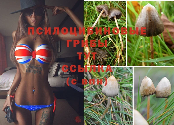 кристаллы Алексеевка