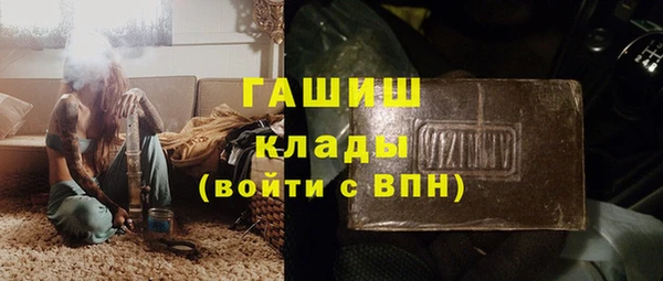 гашик Гусев