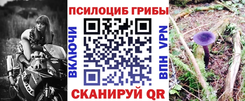 Псилоцибиновые грибы мухоморы  сколько стоит  Павлово 